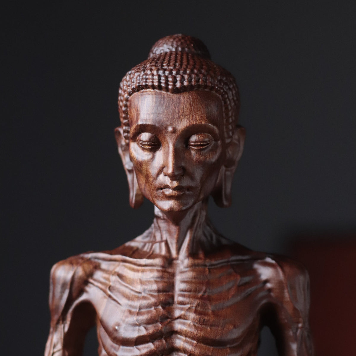 Detailed Fasting Buddha Statue in Padauk Wood