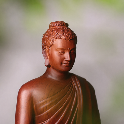 Buddha with Alms Bowl & Lotus Base Option in Huali Wood